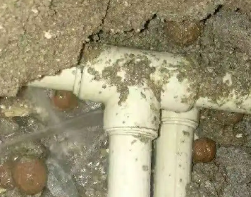 荔浦测漏水多少钱