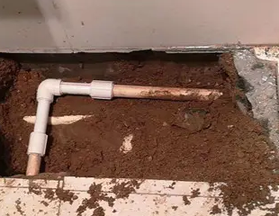 荔浦测漏水哪家好