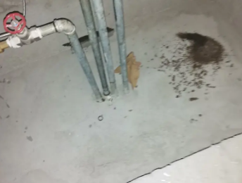 荔浦卫生间测漏水价格明细